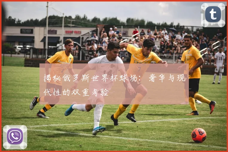 揭秘俄罗斯世界杯球场：奢华与现代性的双重考验