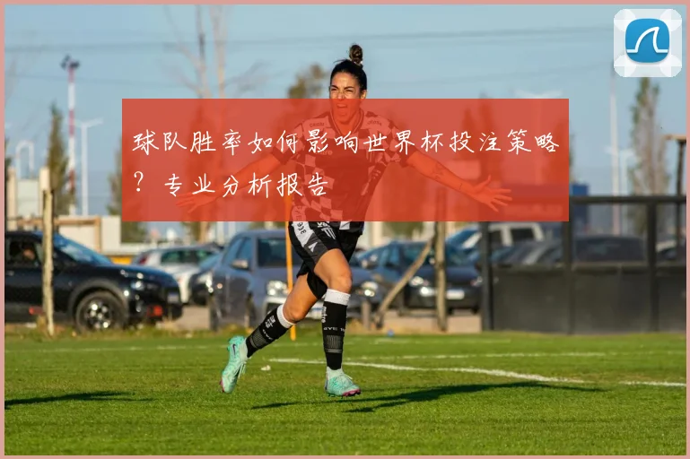 球队胜率如何影响世界杯投注策略?专业分析报告