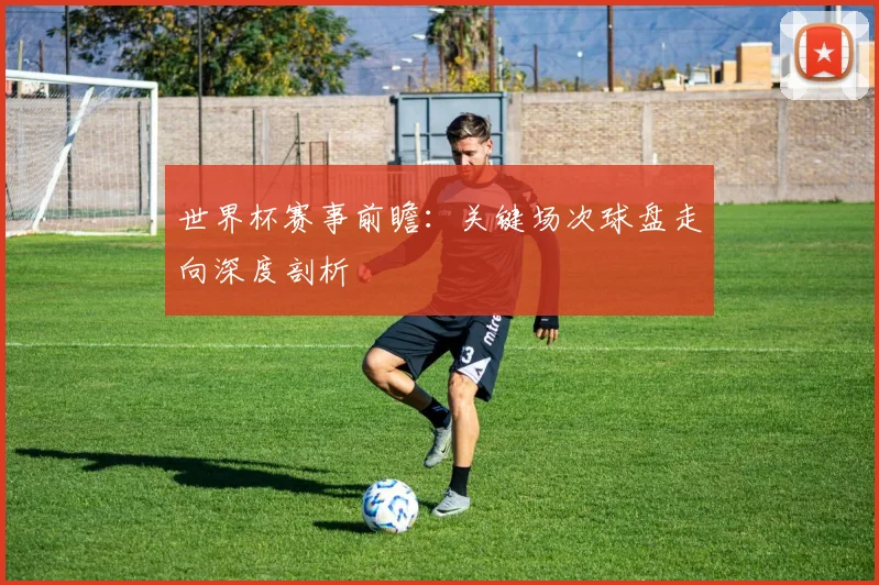 世界杯赛事前瞻:关键场次球盘走向深度剖析