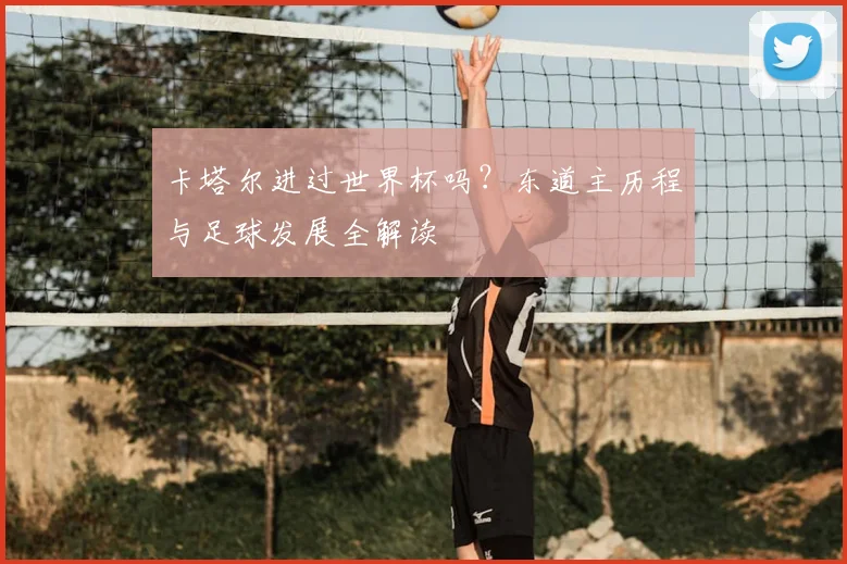 卡塔尔进过世界杯吗？东道主历程与足球发展全解读