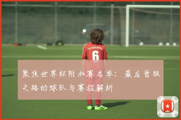 聚焦世界杯附加赛名单：最后晋级之路的球队与赛程解析